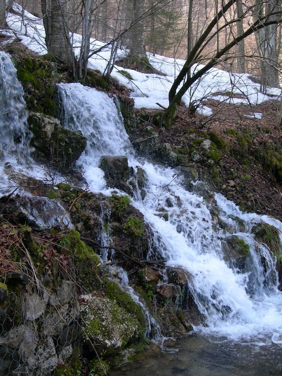 Rifugio Monte Baldo Ξενοδοχείο Avio Δωμάτιο φωτογραφία