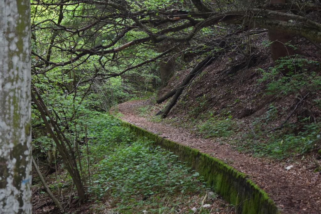 Rifugio Monte Baldo Ξενοδοχείο Avio Εξωτερικό φωτογραφία